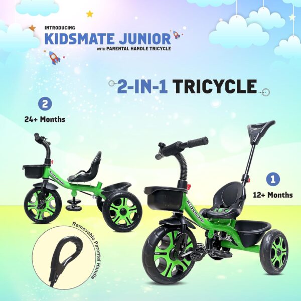 Kidsmate Junior Tricycle for Kids with Parental Control | Cycle for Kids 1-4 Years | Baby Cycle | Bicycle for Kids with Storage Basket, Cushion Seat and Seat Belt Carrying Capacity 30 Kgs (Green) - Image 5