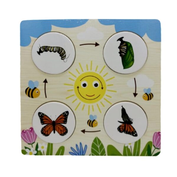 Wooden Multiplication & Growth Cycle Boards Combo | Educational Toy for 6 + Years Old | Perfect Tool for Visual Thinkers | Fun Filled Board (Maths + Science Combo 1 (Multiplication & Growth Cycle)) - Image 3