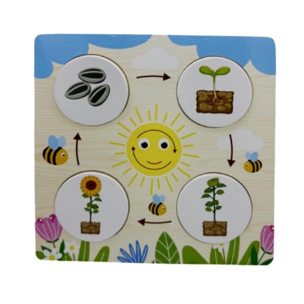 Wooden Multiplication & Growth Cycle Boards Combo | Educational Toy for 6 + Years Old | Perfect Tool for Visual Thinkers | Fun Filled Board (Maths + Science Combo 1 (Multiplication & Growth Cycle)) - Image 8