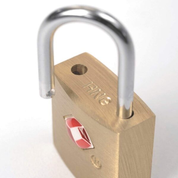 EzLife - TSA Approved Brass Mini Padlock, Brass Luggage Locks, Brass Lock with Key for Gym Locker, Backpack (Multicolor) (Pack of 4) - Image 10