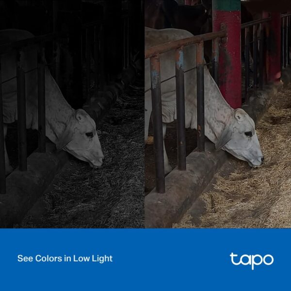 TP-LINK Tapo 4Mp 2K Qhd(2560X1440) Outdoor CCTV Security Wi-Fi Smart Camera -Alexa Enabled -Weatherproof -Full Color Starlight Night Vision -2-Way Audio -Up to 512Gb Sd Storage -C320Ws- White - Image 7