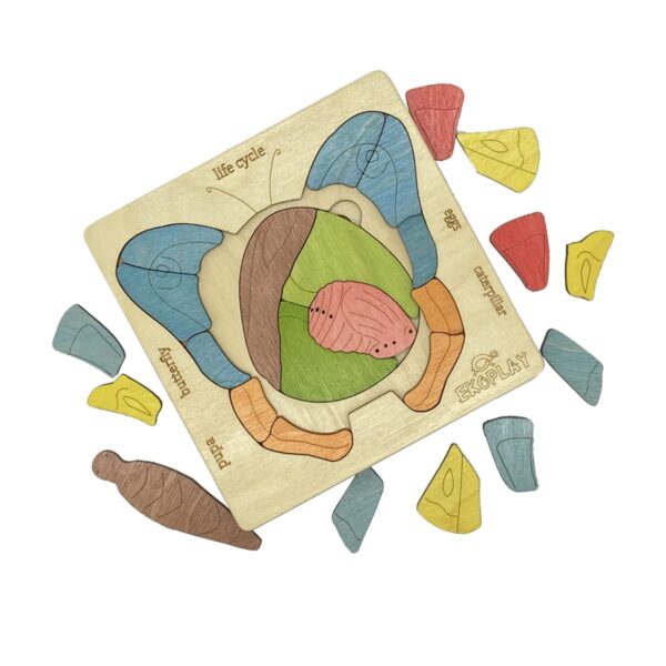 Life Cycle of A Butterfly | 31 Piece Wooden Multilayered Jigsaw Puzzles for Kids | Educational Toy and Gift for Boys & Girls 3 Years and Above - Image 7