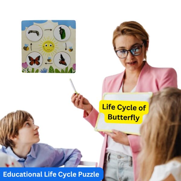 Wooden Multiplication & Growth Cycle Boards Combo | Educational Toy for 6 + Years Old | Perfect Tool for Visual Thinkers | Fun Filled Board (Maths + Science Combo 1 (Multiplication & Growth Cycle)) - Image 4