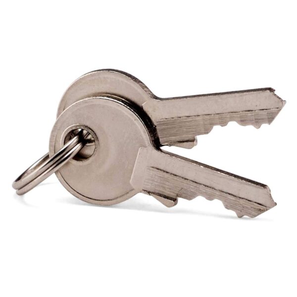 Samsonite 2 Pack Travel Sentry Key Lock, Brass, One Size - Image 5