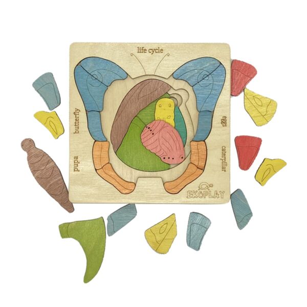 Life Cycle of A Butterfly | 31 Piece Wooden Multilayered Jigsaw Puzzles for Kids | Educational Toy and Gift for Boys & Girls 3 Years and Above - Image 6