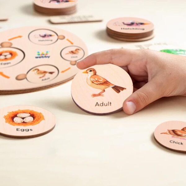 Webby Life Cycle Educational Game | Learn 15 Life Cycles | 3 Wooden Puzzle Boards with 4,5 and 6 Slots Fun Educational Montessori Preschool Game | Wooden Educational Toys for Kids (75 Pieces) - Image 5