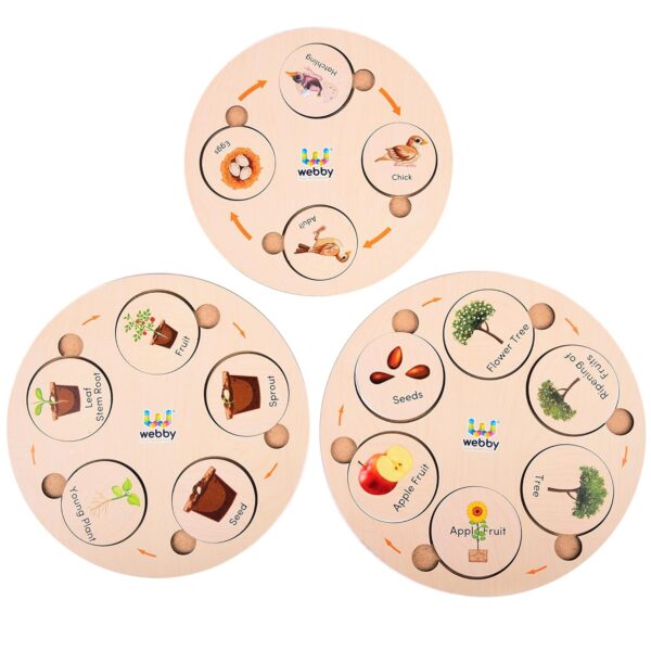 Webby Life Cycle Educational Game | Learn 15 Life Cycles | 3 Wooden Puzzle Boards with 4,5 and 6 Slots Fun Educational Montessori Preschool Game | Wooden Educational Toys for Kids (75 Pieces)