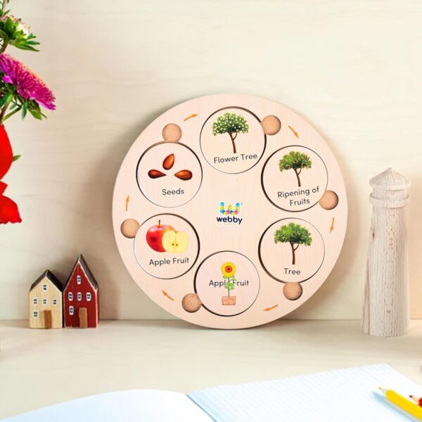 Webby Life Cycle Educational Game | Learn 15 Life Cycles | 3 Wooden Puzzle Boards with 4,5 and 6 Slots Fun Educational Montessori Preschool Game | Wooden Educational Toys for Kids (75 Pieces) - Image 7