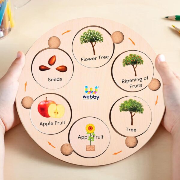 Webby Life Cycle Educational Game | Learn 15 Life Cycles | 3 Wooden Puzzle Boards with 4,5 and 6 Slots Fun Educational Montessori Preschool Game | Wooden Educational Toys for Kids (75 Pieces) - Image 6
